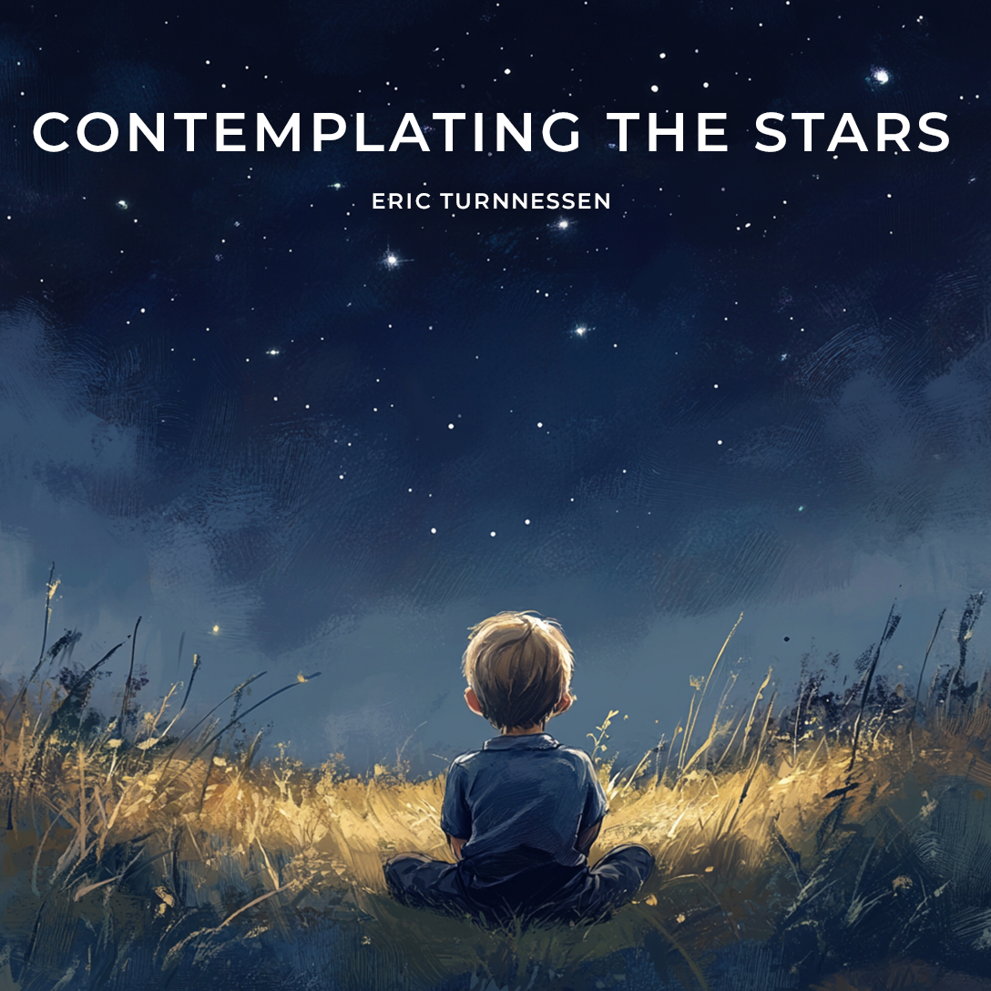 Contemplating the Stars by Eric Turnnessen